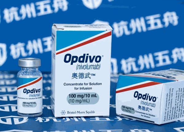 施贵宝保健食品